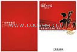 廣州專業(yè)畫冊(cè)設(shè)計(jì)印刷與網(wǎng)站設(shè)計(jì)服務(wù)